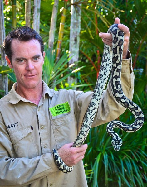 งูเหลือม