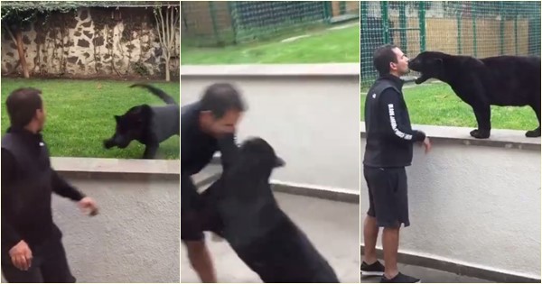 เสือดำย่องกระโจนใส่คนจากด้านหลัง