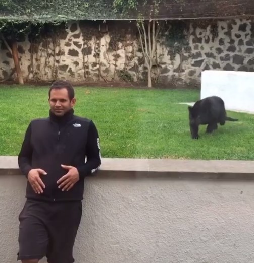 เสือดำย่องกระโจนใส่คนจากด้านหลัง