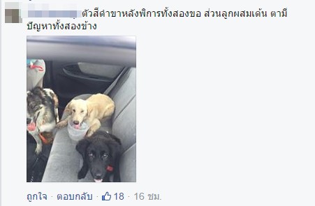 พระหนูที