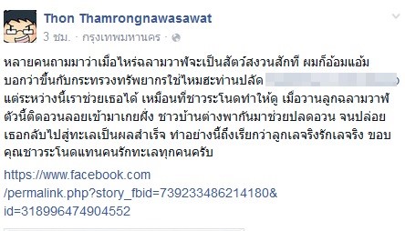 ฉลามวาฬติดอวน