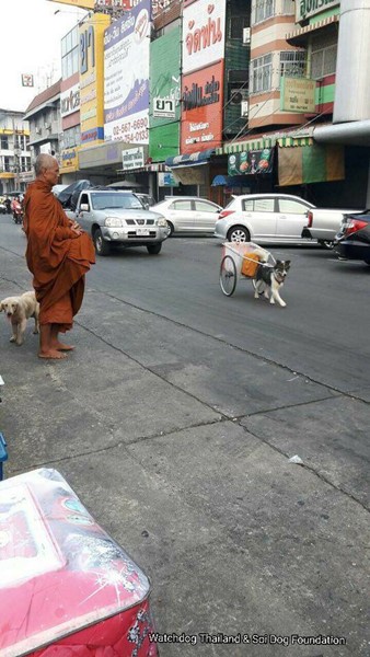 พระหนูที