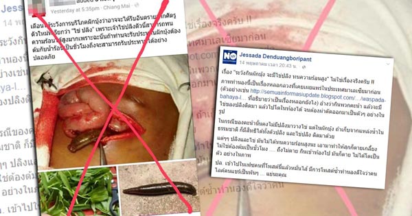 ไข่ปลิงในผักบุ้ง