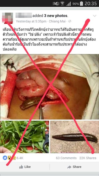 ไข่ปลิงในผักบุ้ง