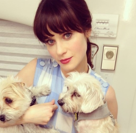 10 ดารา-นักร้องหน้าเด็ก