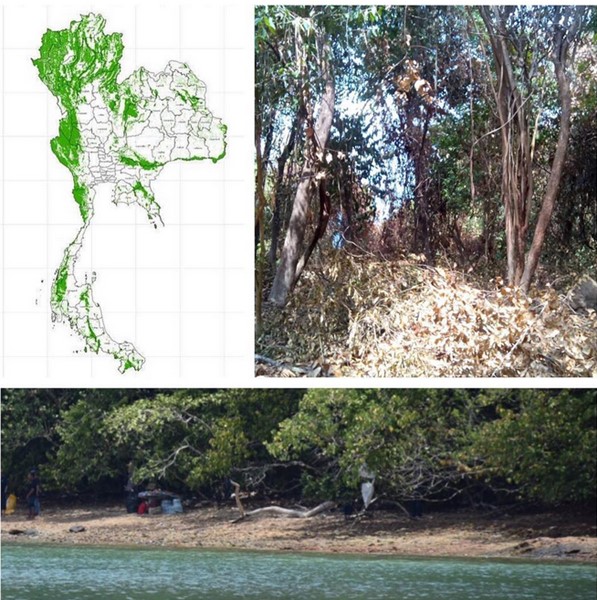 เกาะนาคาน้อย