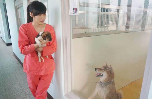 เจี้ยนจี้เชง