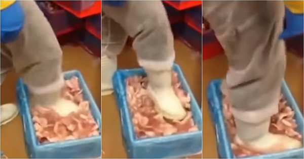 ใส่รองเท้าบู๊ทหมักไก่