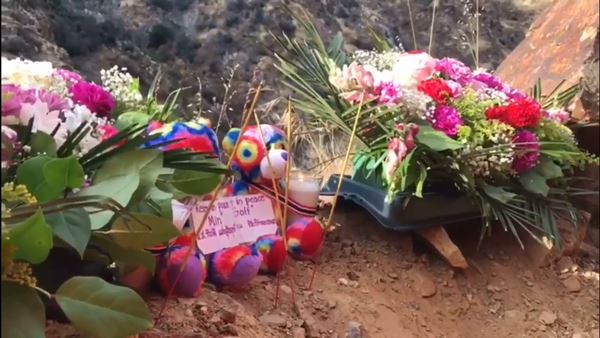 นักศึกษาตกเหวสหรัฐ