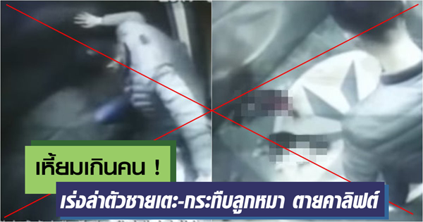 ชายใจเหี้ยม เตะ-กระทืบลูกหมาตาย