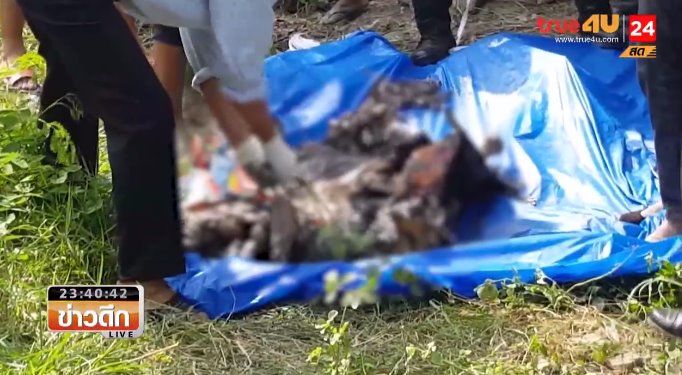 น้องน้ำ ฆ่าฝังดิน