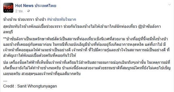 ช้างป่า