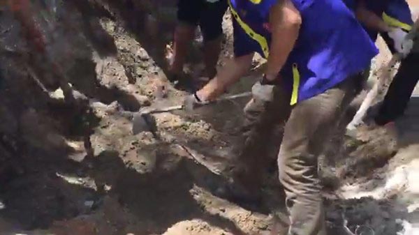 นายเด่นชัย  ภูมินิยม