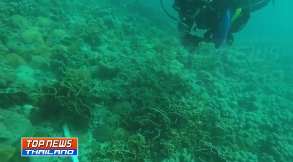 เเหม่มรัสเซีย หายตัวเกาะเต่า