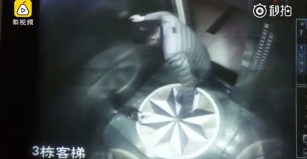 ชายใจเหี้ยม เตะ-กระทืบลูกหมาตาย