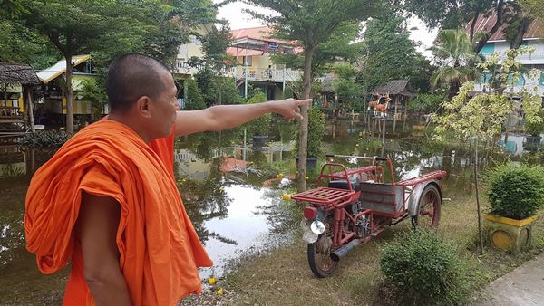 ดอกดาวเรืองกว่า