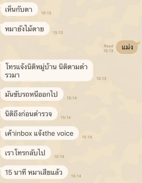 ตีไซบีเรียนตาย