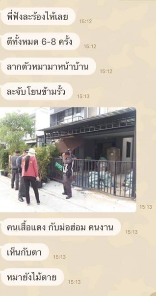ตีไซบีเรียนตาย