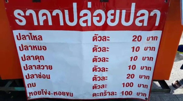 ปล่อยปลา