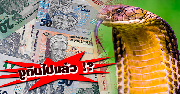 เงินหาย 3.1 ล้าน