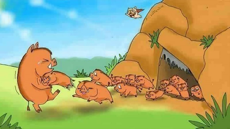 13 ชีวิตหมูป่า