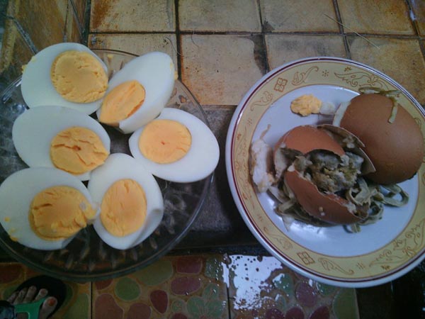 พยาธิอยู่ในไข่