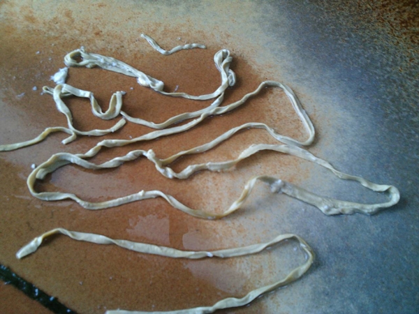 พยาธิอยู่ในไข่