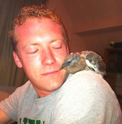  แดน แบรนดอน