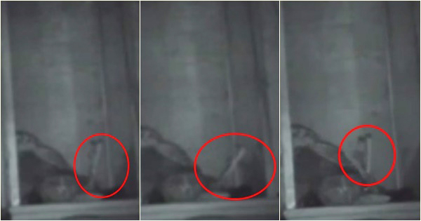 ตุ๊กตาผีสิง