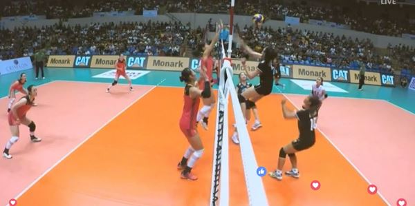 วอลเลย์บอล