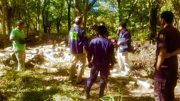 คดีตายายเก็บเห็ด