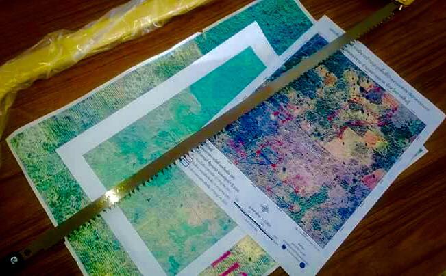 คดีตายายเก็บเห็ด