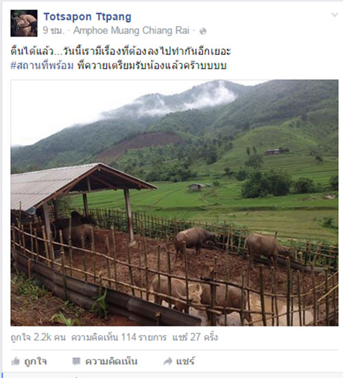 โรงฆ่าสัตว์