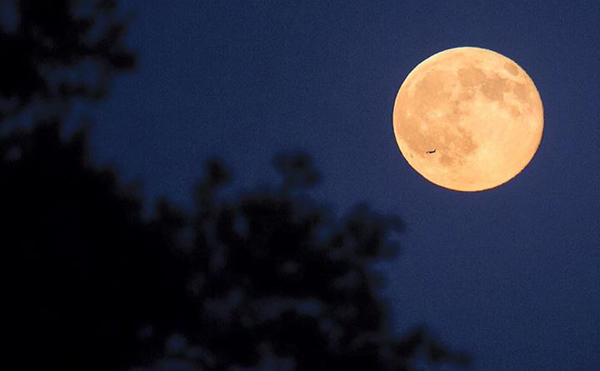 พระจันทร์สีน้ำเงิน