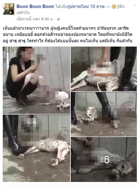 ทารุณสุนัข