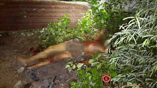 ฆ่าปาดคอ