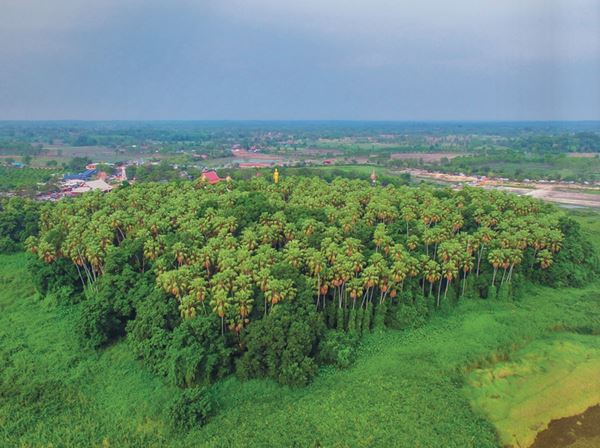 รุกข มรดกของแผ่นดิน ใต้ร่มพระบารมี