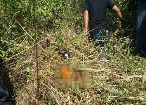 ฆ่าหั่นศพ