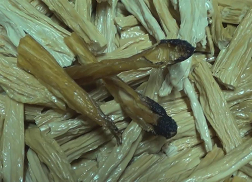 ฟองเต้าหู้