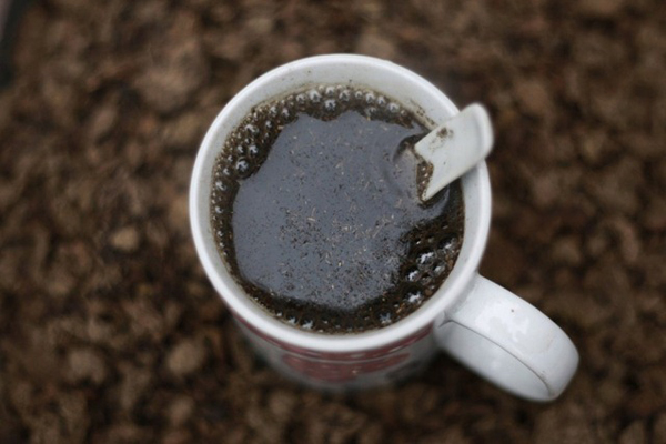 จีนทำอึ้ง ดื่มยาขี้วัวขี้แกะ เชื่อเป็นกลเม็ดต้านมะเร็ง