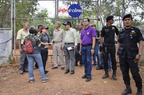 อธิบดีกรมอุทยานฯ แจ้งความหลังเสือวัดหลวงมหาตาบัว หาย 3 ตัว