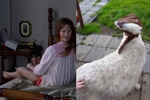 แพะปีศาจ