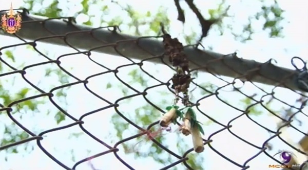 เปิดภาพอดีต-ปัจจุบัน ย้อนรอยเหตุการณ์ 