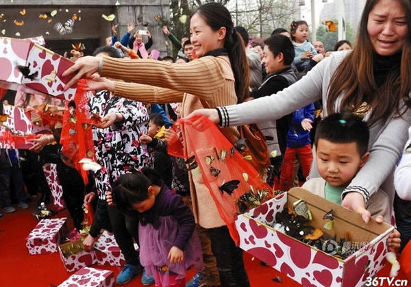  ร้านค้าจีนปล่อยผีเสื้อหลายร้อยให้เด็กเหยียบเล่น ตายเกลื่อน