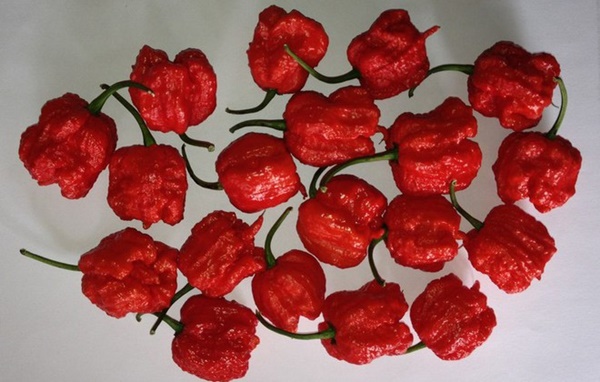 16 สุดยอดสถิติโลก ฉลองครบรอบ 60 ปี กินเนสส์ เวิลด์ เรคคอร์ด 