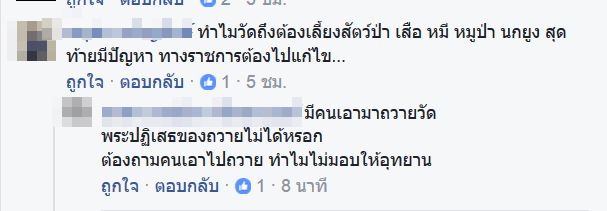 หมีควาย