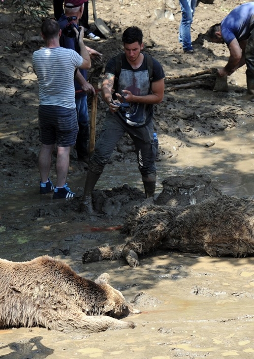 น้ำท่วมจอร์เจีย