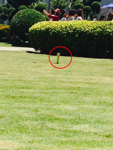 แฟนคลับเกาหลีปักตะไคร้ หยุดฝนหน้าคอนเสิร์ต EXO