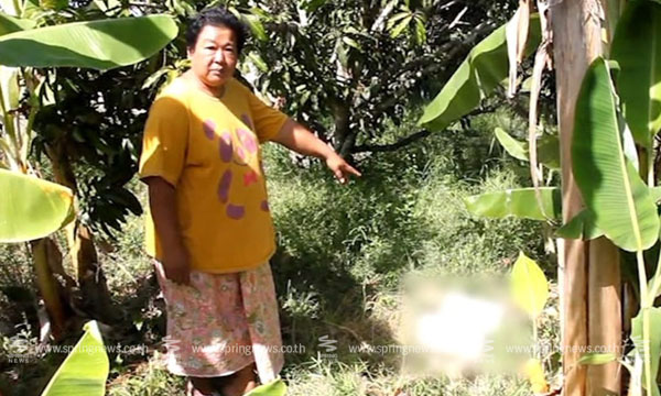 สลด แม่ใจร้ายจับลูกอายุ 7 วัน ยัดใส่กล่องโฟม โยนป่ากล้วย