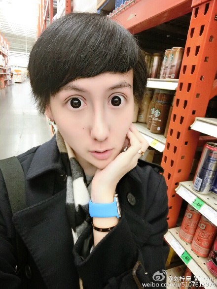 หลิวจื้อเฉิน